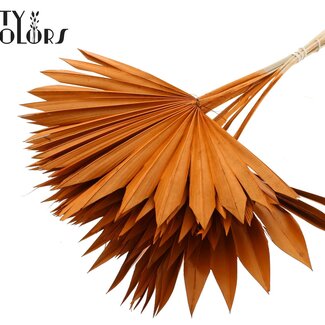 QC Gedroogde Palm Sun Spear | Kleur: Terracotta | Palmbladeren in Waaiervorm | Lengte ± 50 centimeter | 10 takken per bos | Per bos