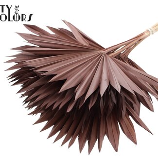 QC Gedroogde Palm Sun Spear | Kleur: Bruin | Palmbladeren in Waaiervorm | Lengte ± 50 centimeter | 10 takken per bos | Per bos