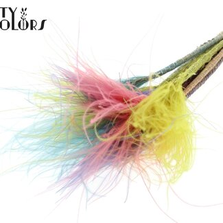 QC Getrocknetes Stipa Federgras „Spring Mix“ | Farbe: Gemischte Farben | Stypha Penata Trockenblumen | Länge ± 60 Zentimeter | 10 Wedel pro Bund | Pro Bund