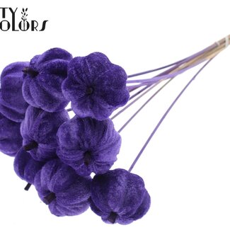 QC Velvet Pumpkin on Stick | Colour: Purple | Pumpkin Stick | Pumpkin Diameter 6 centimetres | Length ± 50 centimetres | 10 sticks per bunch