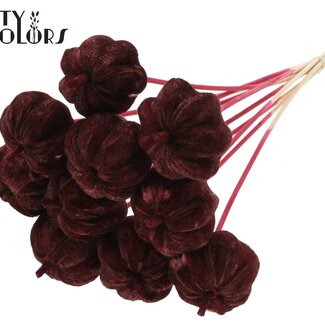 QC Citrouille en velours sur tige | Couleur : Bordeaux | Pique-citrouille | Diamètre de la citrouille 6 centimètres | Longueur ± 50 centimètres | 10 piques par bouquet