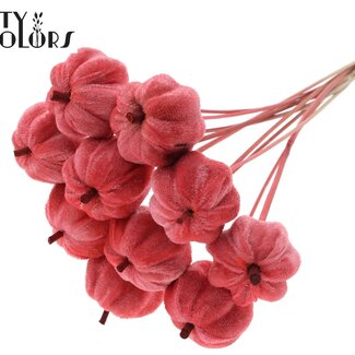 QC Fluwelen Pompoen op stok | Kleur: Koraalkleurig | Pompoen Bijsteker | Diameter pompoen 6 centimeter | Lengte ± 50 centimeter | 10 bijstekers per bos