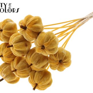 QC Velvet Pumpkin on Stick | Colour: Apricot | Pumpkin Pick | Pumpkin Diameter 6 centimetres | Length ± 50 centimetres | 10 picks per bunch