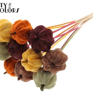 QC Citrouille en velours sur tige “Pumpkin Spice” | Couleur : Couleurs mélangées | Pique-citrouille | Diamètre de la citrouille 6 centimètres | Longueur ± 50 centimètres | 10 piques par bouquet
