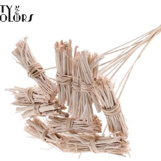 QC White Lady Posy on Stick | Colour: Frosted White | White Lady Posy Stick | Length ± 50 centimetres | 10 sticks per bunch