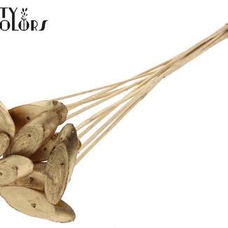 QC Oval Wooden Disc on Stick | Colour: Antique Gold | Wooden Disc Pick | Diameter 5 - 7 centimetres | Length ± 50 centimetres | 10 picks per bunch | Per bunch