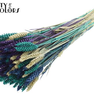 QC Gedroogde Tarwe “Scandinavische Mix” | Kleur: Gemengde Kleuren | Triticum Droogbloemen | Lengte ± 60 centimeter | Gewicht 220 gram | Per bos