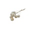 White bleached Scabiosa dried flowers | Length ± 30 centimetres | Per 10 stems