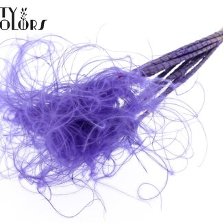 QC Getrocknetes Stipa-Federgras | Farbe: Lila | Stypha Penata Trockenblumen | Länge ± 60 Zentimeter | 10 Blüten pro Bund | Pro Bund