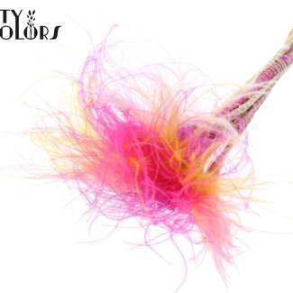 QC Dried Stipa Feather Grass “Colourful 10” | Colour: Mixed Colours | Stypha Penata Dried Flowers | Length ± 60 centimetres | 10 plumes per bunch | Per bunch