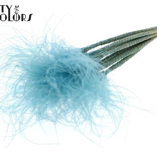 QC Getrocknetes Stipa Federgras | Farbe: Hellblau | Stypha Penata Trockenblumen | Länge ± 60 Zentimeter | 10 Blüten pro Bund | Pro Bund