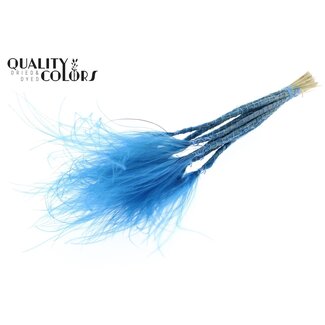 QC Gedroogd Stipa Vedergras | Kleur: Donkerblauw | Stypha Penata Droogbloemen | Lengte ± 60 centimeter | 10 pluimpjes per bos | Per bos
