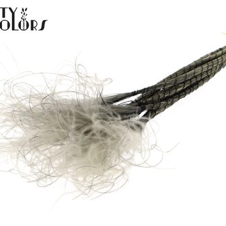 QC Dried Stipa Feather Grass | Colour: Grey | Stypha Penata Dried Flowers | Length ± 60 centimetres | 10 plumes per bunch | Per bunch