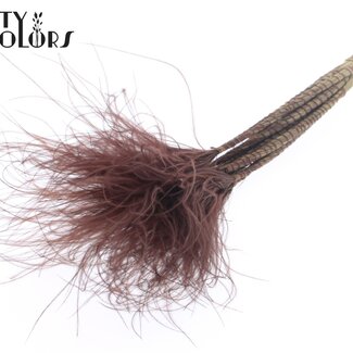 QC Getrocknetes Stipa Federgras | Farbe: Braun | Stypha Penata Trockenblumen | Länge ± 60 Zentimeter | 10 Wedel pro Bund | Pro Bund