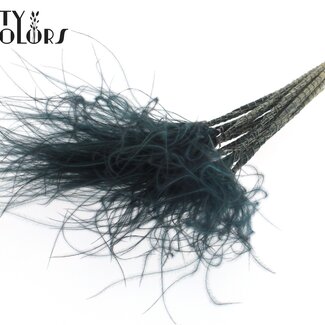 QC Getrocknetes Stipa-Federgras | Farbe: Schwarz | Stypha Penata Trockenblumen | Länge ± 60 Zentimeter | 10 Blüten pro Bund | Pro Bund