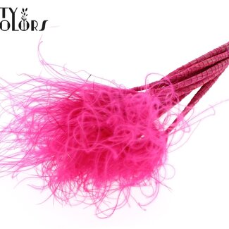 QC Stipa Pennée Séchée | Couleur : Cerise | Fleurs Séchées Stypha Penata | Longueur ± 60 centimètres | 10 plumets par bouquet | Par bouquet