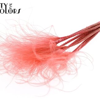 QC Stipa Pennée Séchée | Couleur : Corail | Stypha Penata Fleurs Séchées | Longueur ± 60 centimètres | 10 plumets par bouquet | Par bouquet