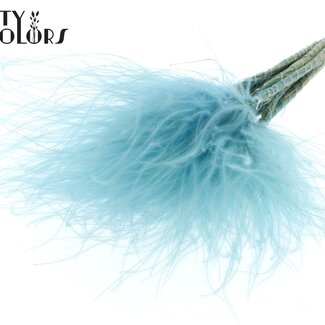 QC Herbe de la pampa séchée Stipa | Couleur : Bleu pastel | Fleurs séchées Stypha Penata | Longueur ± 60 centimètres | 10 plumets par bouquet | Par bouquet