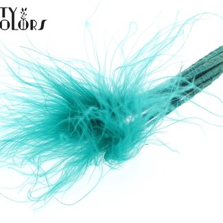 QC Getrocknetes Stipa Federgras | Farbe: Türkis | Stypha Penata Trockenblumen | Länge ± 60 Zentimeter | 10 Wedel pro Bund | Pro Bund