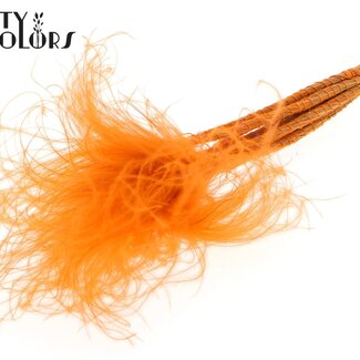 QC Herbe de la pampa séchée Stipa | Couleur : Pastel Orange | Fleurs séchées Stypha Penata | Longueur ± 60 centimètres | 10 plumets par bouquet | Par bouquet