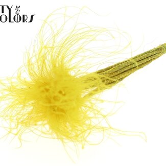 QC Herbe de plumes Stipa séchée | Couleur : Jaune pastel | Fleurs séchées Stypha Penata | Longueur ± 60 centimètres | 10 plumets par bouquet | Par bouquet