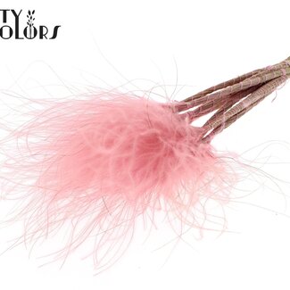 QC Gedroogd Stipa Vedergras | Kleur: Pastelroze | Stypha Penata Droogbloemen | Lengte ± 60 centimeter | 10 pluimpjes per bos | Per bos