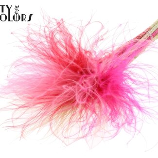 QC Gedroogd Stipa Vedergras “Lady Mix” | Kleur: Gemengde Kleuren | Stypha Penata Droogbloemen | Lengte ± 60 centimeter | 10 pluimpjes per bos | Per bos