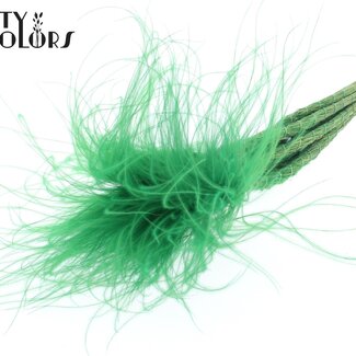 QC Gedroogd Stipa Vedergras | Kleur: Pastelgroen | Stypha Penata Droogbloemen | Lengte ± 60 centimeter | 10 pluimpjes per bos | Per bos