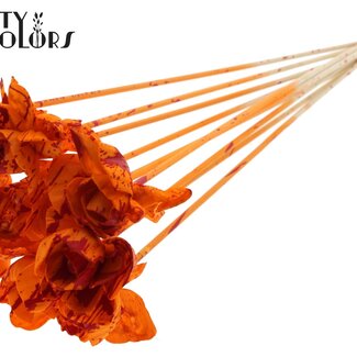 QC Shola Houten Rose sur tige | Couleur : Multicolore Éclaboussé Orange Rouge | Shola Dear Holly Piquet | Diamètre de la rose 6 centimètres | Longueur du piquet ± 50 centimètres | 10 piquets par bouquet