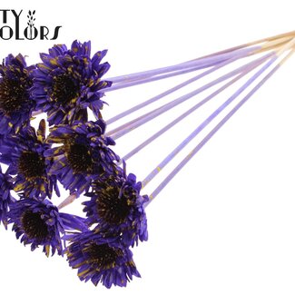 QC Shola Wooden Daisy Sunflower on stick | Colour: Speckled Purple Yellow | Shola Daisy Sunflower Stick | Flower diameter 6 centimetres | Stick length ± 50 centimetres | 10 sticks per bunch
