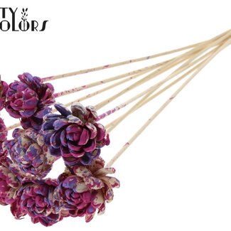 QC Shola Roos op stok | Kleur: Meerkleurig Kerskleurig Milkapaars | Shola New Beauty Rose | Diameter 6 centimeter | Lengte ± 50 centimeter | 10 bijstekers per bos | Per bos