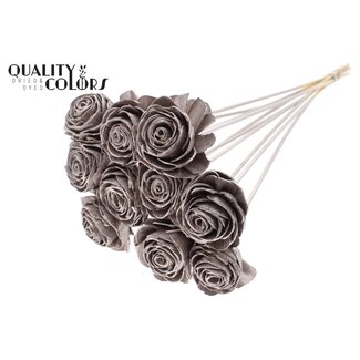 QC Shola Rose am Stiel | Farbe: Champagnerfarben | Shola Beauty Rose | Durchmesser 6 centimeter | Länge ± 50 centimeter | 10 Blumenstecker pro Bund | Pro Bund