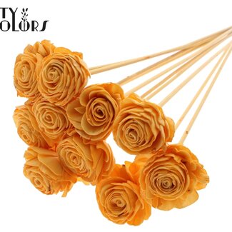 QC Shola Roos op stok | Kleur: Abrikooskleurig | Shola Beauty Rose | Diameter 6 centimeter | Lengte ± 50 centimeter | 10 bijstekers per bos | Per bos