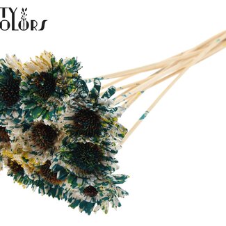 QC Shola Houten Madelief Zonnebloem sur tige | Couleur : Multicolore Vert Jaune | Shola Daisy Tournesol Pique | Diamètre fleur 6 centimètres | Longueur pique ± 50 centimètres | 10 piques par bouquet