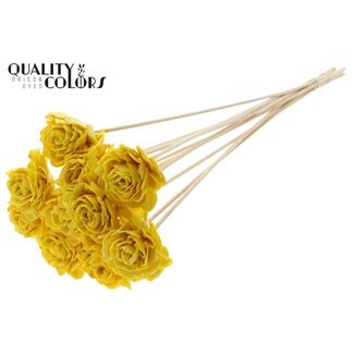 QC Shola Dahlia met was op stok | Kleur: Geel | Shola Dhalya | Diameter 6 centimeter | Lengte ± 50 centimeter | 10 bijstekers per bos | Per bos