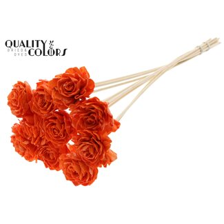 QC Shola Dahlia with wax on stem | Colour: Orange | Shola Dahlia | Diameter 6 centimetre | Length ± 50 centimetre | 10 picks per bunch | Per bunch