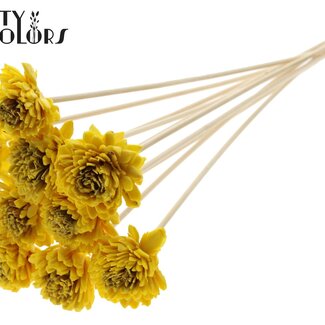 QC Shola Wood with Zinnia on stick | Colour: Yellow | Shola Zinnia Flower Stick | Flower diameter 6 centimetres | Stick length ± 50 centimetres | 10 sticks per bunch