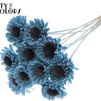 QC Shola Houten Madelief Tournesol sur tige | Couleur : Bleu clair | Shola Daisy Tournesol Piquet | Diamètre de la fleur 6 centimètres | Longueur du piquet ± 50 centimètres | 10 piquets par bouquet