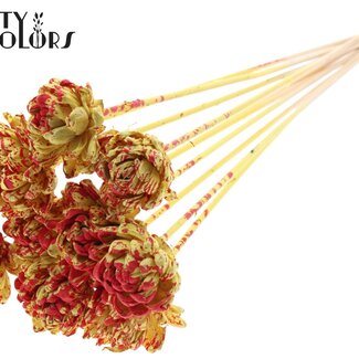 QC Shola Rose am Stiel | Farbe: Gesprenkelt Gelb Rot | Shola New Beauty Rose | Durchmesser 6 centimeter | Länge ± 50 centimeter | 10 Beistecker pro Bund | Pro Bund