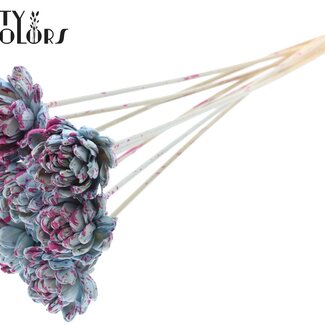 QC Shola Wooden Rose on stick | Colour: Speckled Light Blue Cherry Colour | Shola New Beauty Rose Pick | Rose diameter 6 centimetres | Pick length ± 50 centimetres | 10 picks per bunch