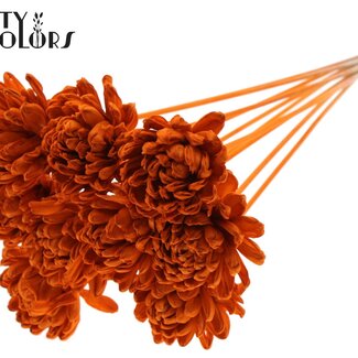 QC Shola Holz Rose auf Stiel | Farbe: Orange | Shola New Beauty Rose Stecker | Durchmesser der Rose 8 Zentimeter | Länge des Steckers ± 50 Zentimeter | 10 Stecker pro Bund