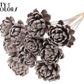 QC Shola Wooden Rose on Stem | Colour: Champagne | Shola New Beauty Rose Stem | Rose Diameter 8 centimetres | Stem Length ± 50 centimetres | 10 stems per bunch