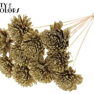 QC Shola Houten Zinnia op stok | Kleur: Goudkleurig | Shola Zinia Bijsteker | Diameter bloem 8 centimeter | Lengte bijsteker ± 50 centimeter | 10 bijstekers per bos