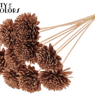 QC Shola Houten Zinnia sur tige | Couleur : Cuivré | Shola Zinia Pique-fleur | Diamètre de la fleur 8 centimètres | Longueur du pique-fleur ± 50 centimètres | 10 piques-fleurs par bouquet