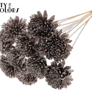 QC Shola Houten Zinnia auf Stiel | Farbe: Champagnerfarben | Shola Zinnia Steckstab | Blütendurchmesser 8 Zentimeter | Länge Steckstab ± 50 Zentimeter | 10 Steckstäbe pro Bund