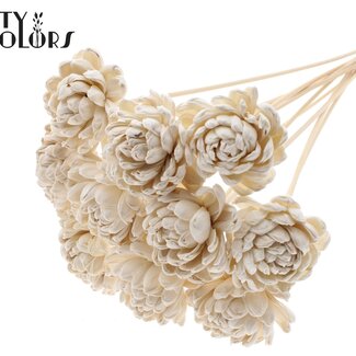QC Shola Wooden Rose on Stem | Colour: Natural White | Shola New Beauty Rose Stem | Rose Diameter 8 centimetres | Stem Length ± 50 centimetres | 10 stems per bunch