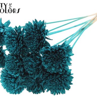 QC Shola Houten Zinnia op stok | Kleur: Turquoise | Shola Zinia Bijsteker | Diameter bloem 8 centimeter | Lengte bijsteker ± 50 centimeter | 10 bijstekers per bos