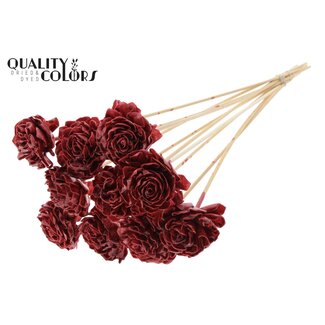 QC Shola Dahlia mit Wachs am Stiel | Farbe: Bordeauxrot | Shola Dhalya | Durchmesser 6 Zentimeter | Länge ± 50 Zentimeter | 10 Blumenstecker pro Bund | Pro Bund