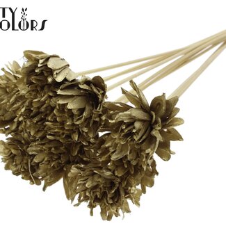 QC Shola Dennenhouten Bloem op stok | Kleur: Goudkleurig | Shola Slice Pine Bijsteker | Diameter bloem 6 centimeter | Lengte bijsteker ± 50 centimeter | 10 bijstekers per bos