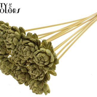 QC Shola Houten Rose sur tige | Couleur : Vert olive | Shola New Beauty Rose Piquet | Diamètre de la rose 6 centimètres | Longueur du piquet ± 50 centimètres | 10 piquets par bouquet
